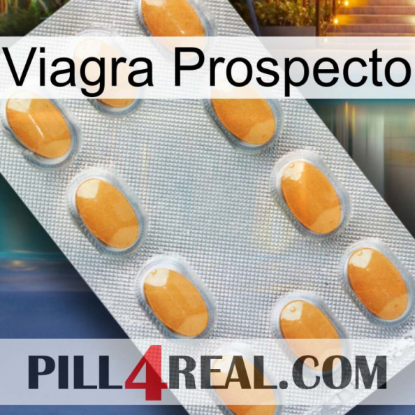 Prospecto Viagra cialis3.jpg